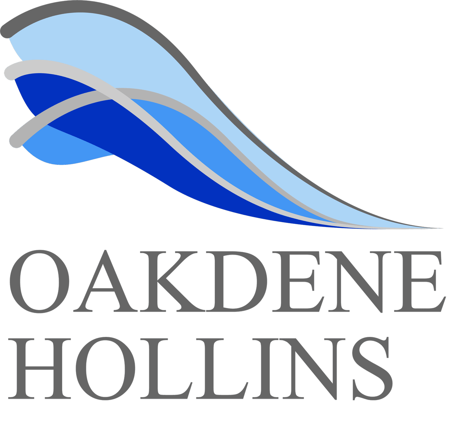 Oakdene Hollins Team